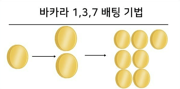 바카라 시스템 배팅