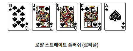 텍사스 홀덤